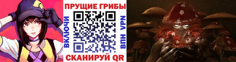 Галлюциногенные грибы Cubensis  купить наркотики сайты  Котельники 