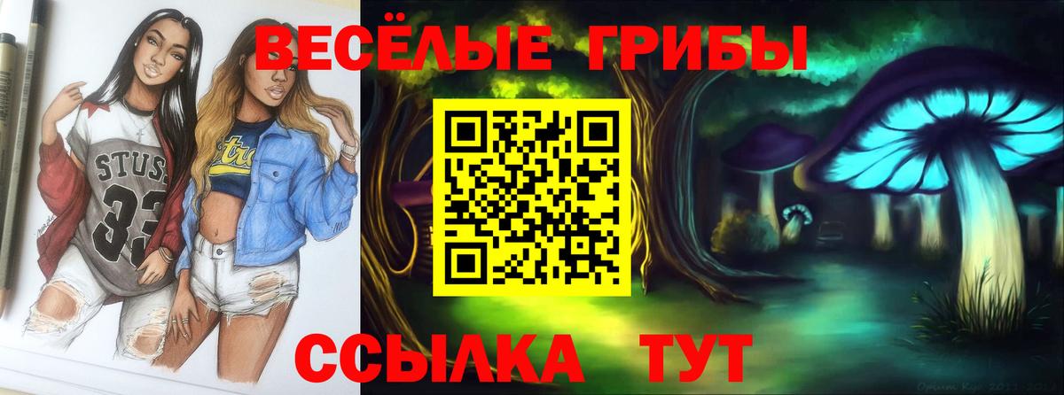 Котельники  Галлюциногенные грибы мицелий  Вход с VPN 